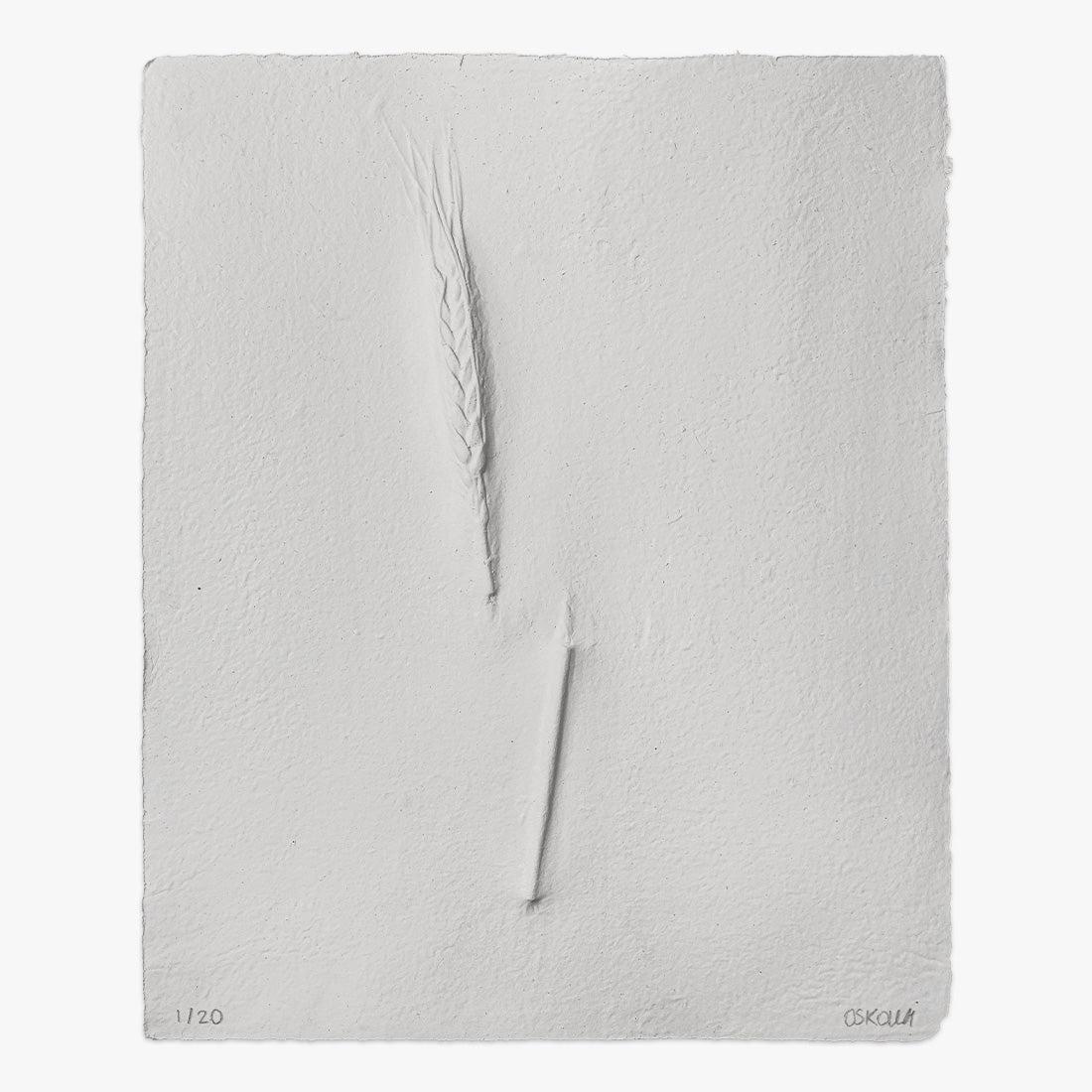 Image Product - Harvest