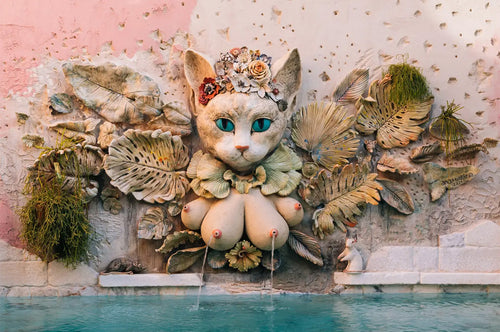 Artist Image - ana+betânia