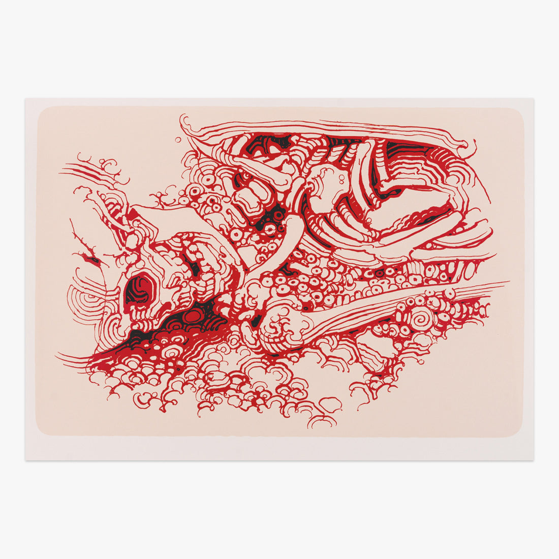 Limited edition Nspm No Se Puede Mirar Fide Evora Screen Print piece by null available at Underdogs