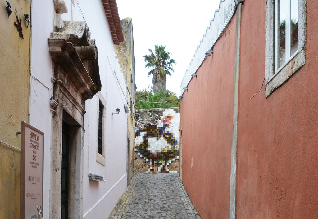 Image Bio Artist - Pedrita Studio