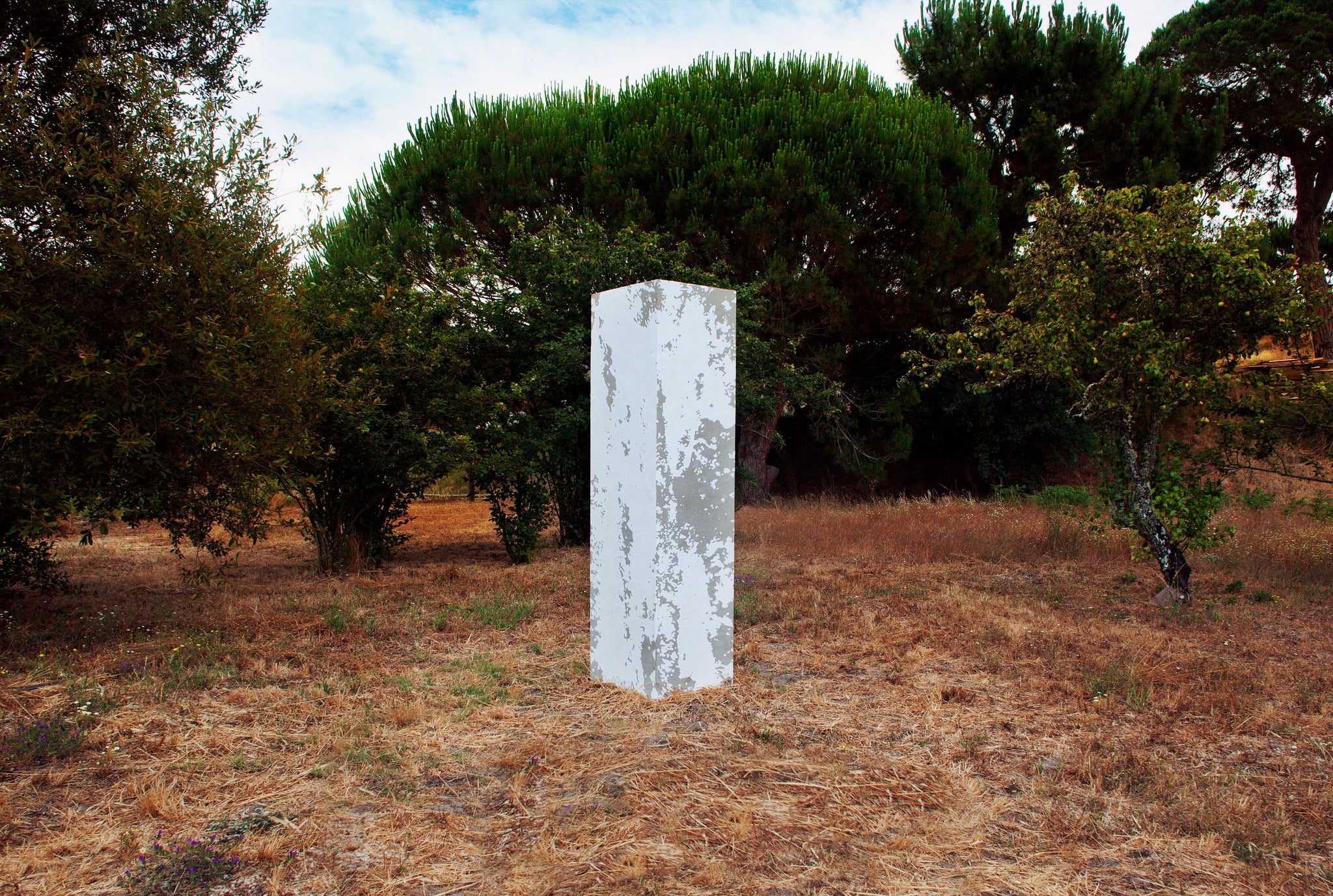 Image Bio Artist - Pedro Matos