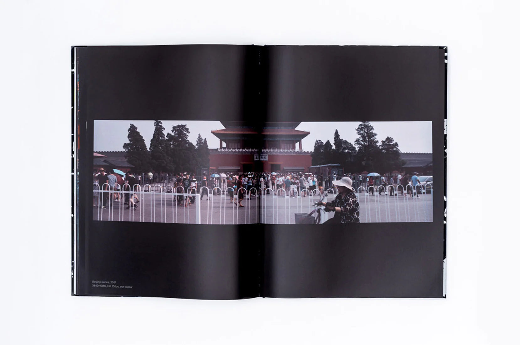 Limited edition Prisma Special Edition Book piece by Alexandre Farto aka Vhils available at Underdogs