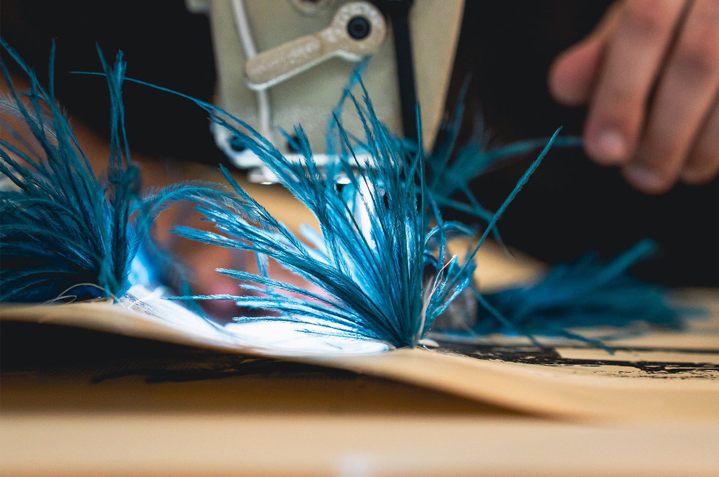 Herança - Roman Numerals