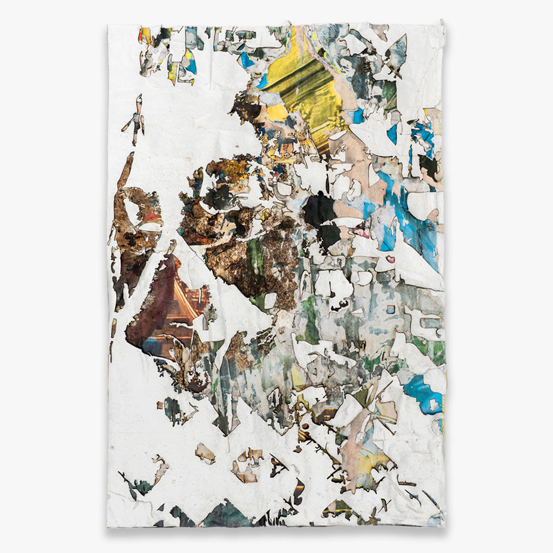 Shred Edition - Artist's Proof
