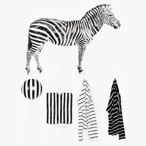 Counting Stripes (pack of 5)
