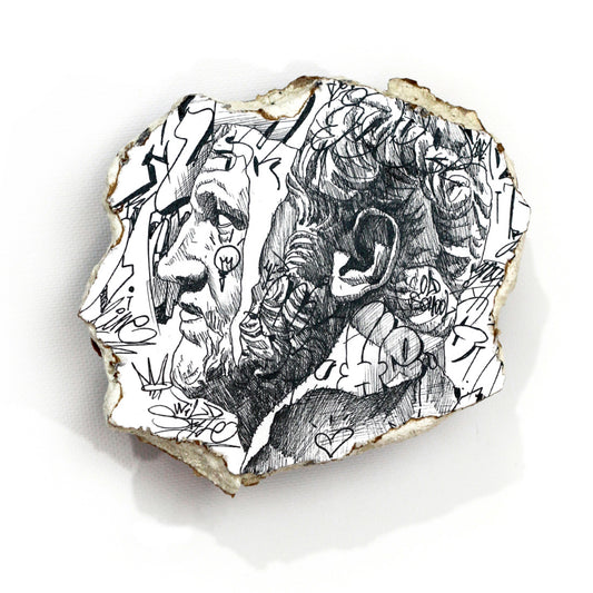 Untitled (Pollux Diaspasis)