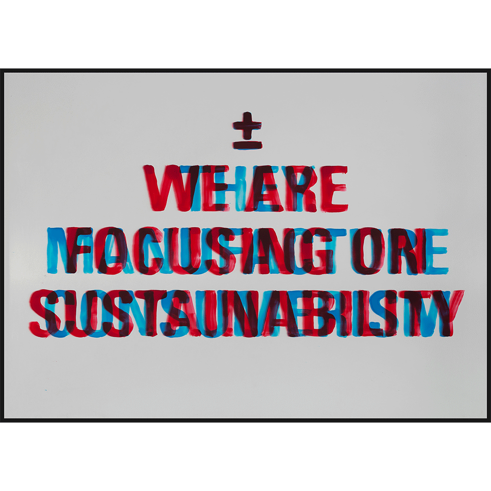 Sustainability/Consumerism