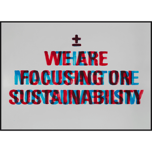 Sustainability/Consumerism