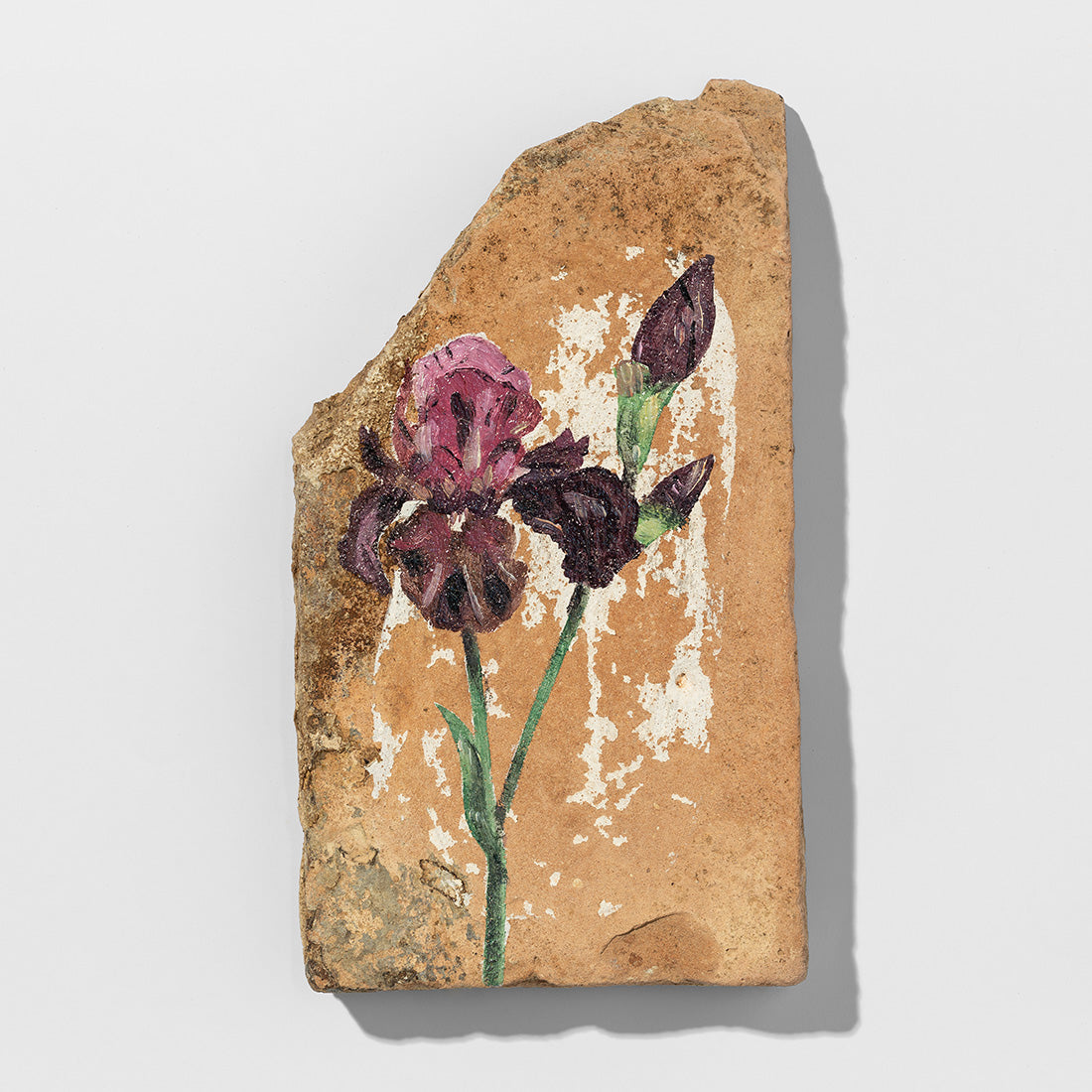 Flores salvajes #3