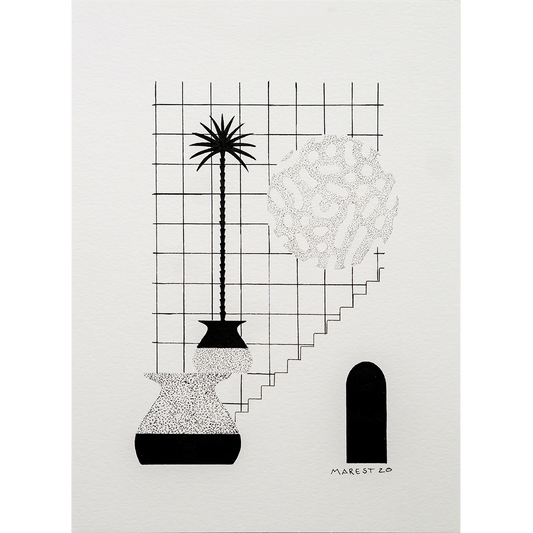 Diario de uma Morada #15